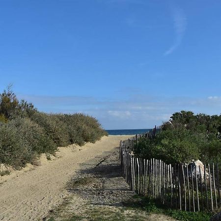 Les Goelettes - Appartement En Rdc Avec Acces Direct A La Plage Saint-Cyprien  Exteriér fotografie