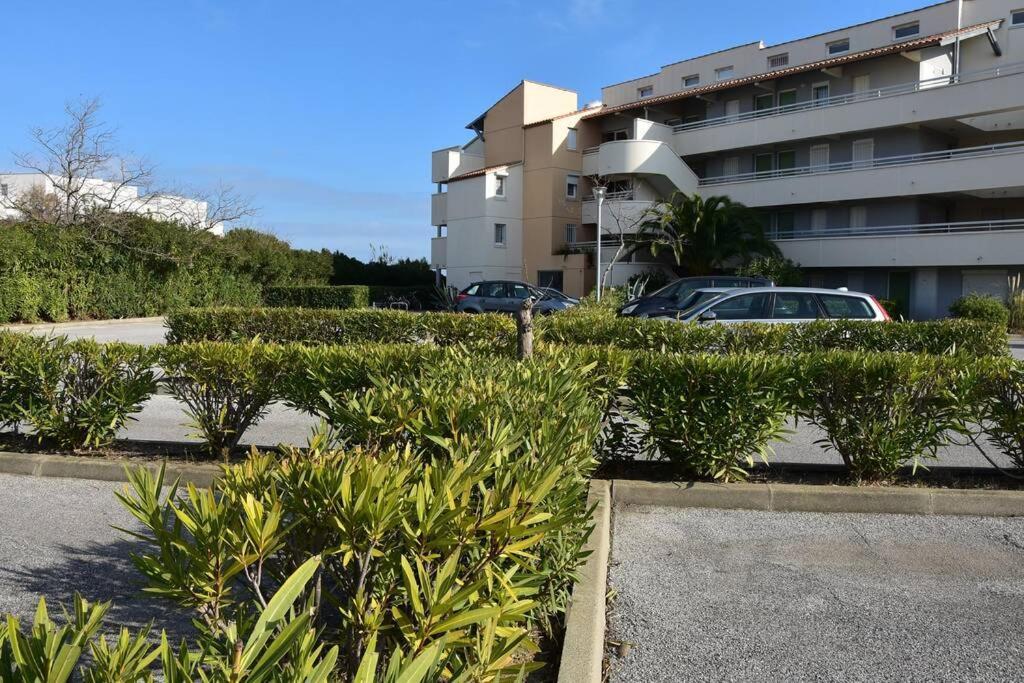 Les Goelettes - Appartement En Rdc Avec Acces Direct A La Plage Saint-Cyprien  Exteriér fotografie