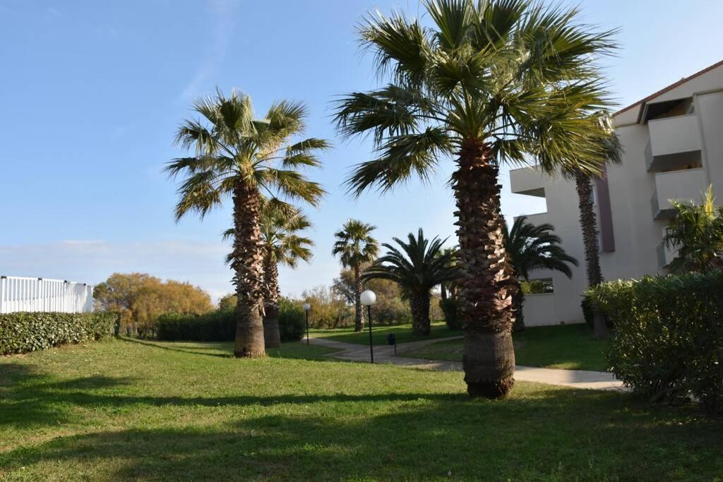 Les Goelettes - Appartement En Rdc Avec Acces Direct A La Plage Saint-Cyprien  Exteriér fotografie