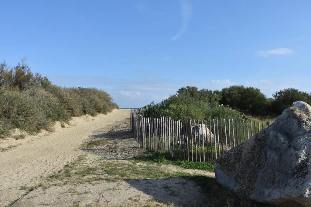 Les Goelettes - Appartement En Rdc Avec Acces Direct A La Plage Saint-Cyprien  Exteriér fotografie