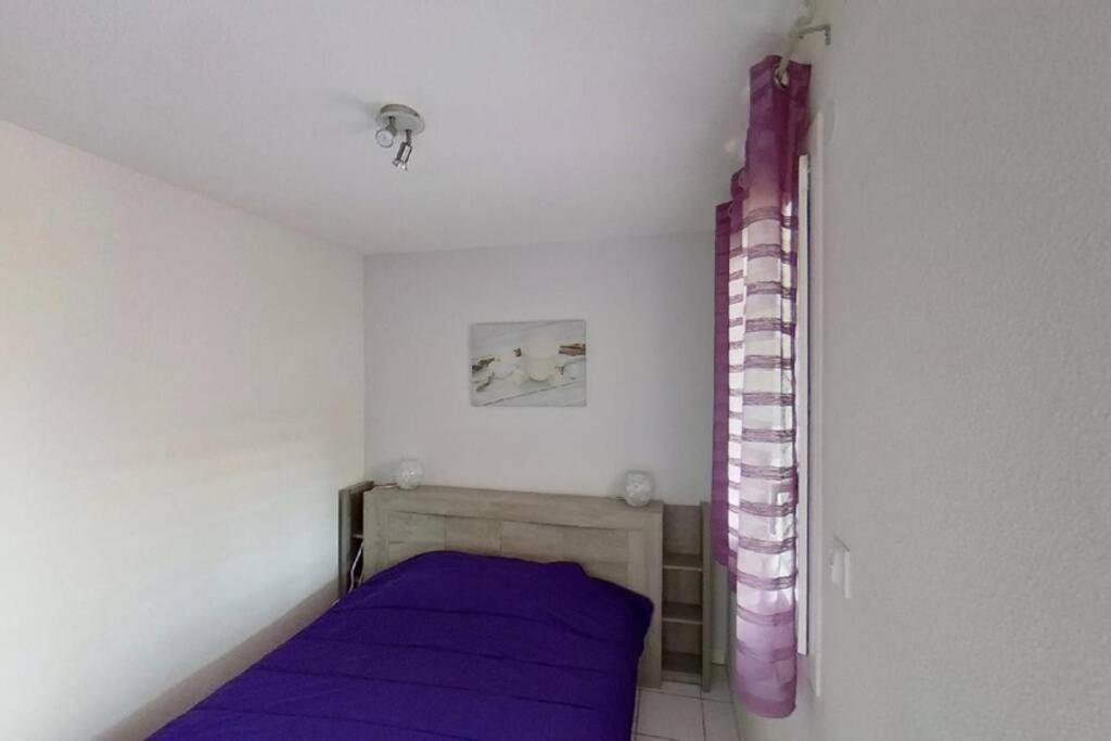 Les Goelettes - Appartement En Rdc Avec Acces Direct A La Plage Saint-Cyprien  Exteriér fotografie